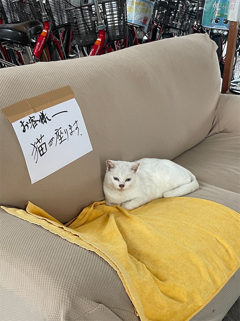 f:id:nusyoku:20241110194420j:image