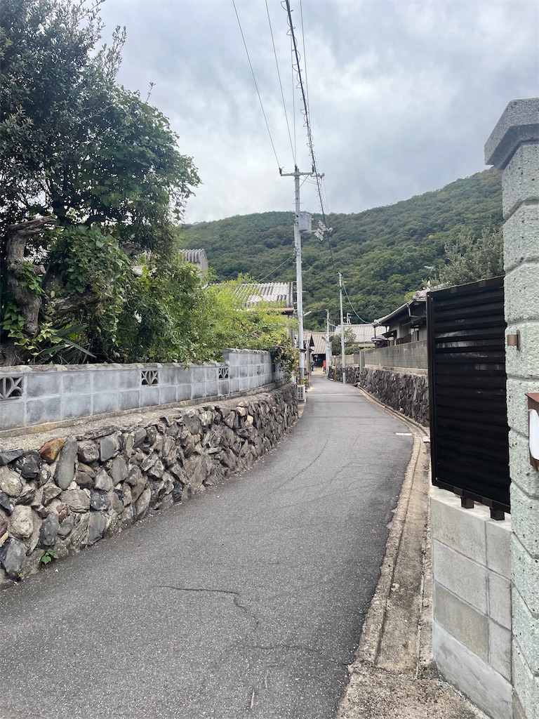 f:id:nusyoku:20250507102713j:image