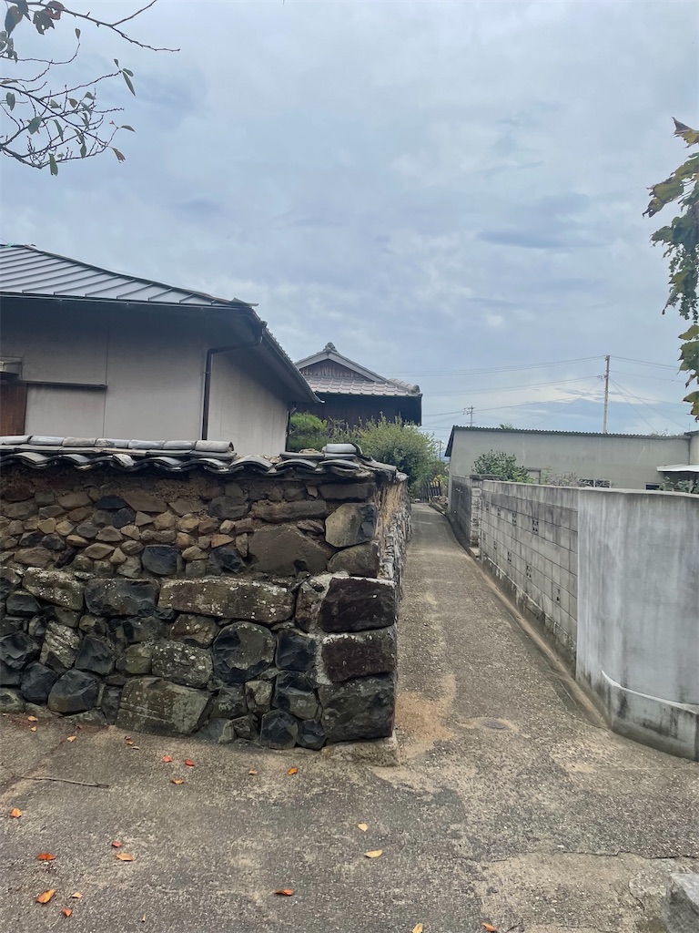 f:id:nusyoku:20250507102719j:image