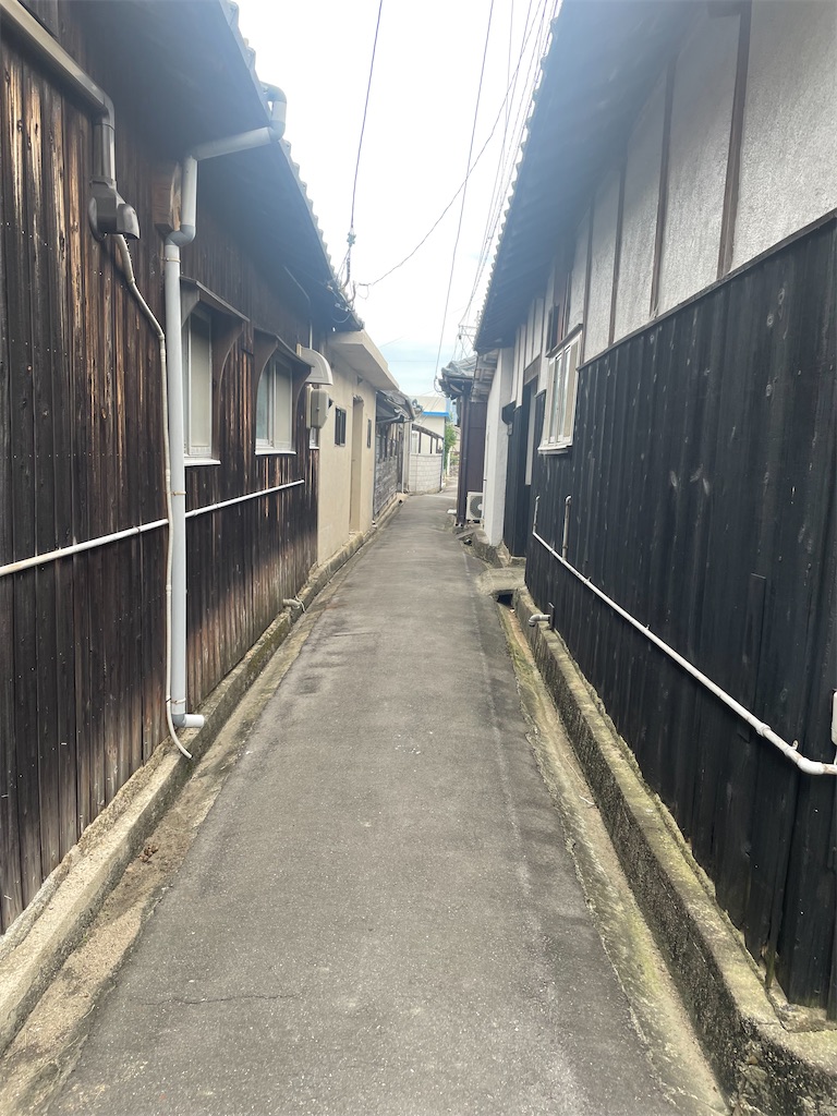 f:id:nusyoku:20250507102725j:image