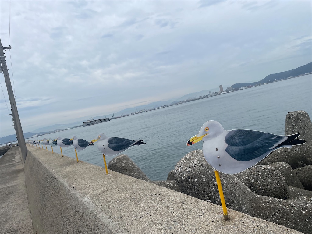 f:id:nusyoku:20250507103403j:image