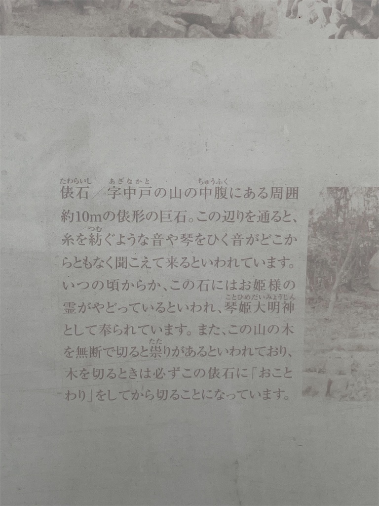 f:id:nusyoku:20250507105152j:image