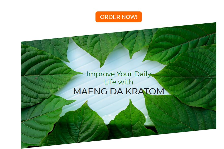 f:id:nutrakingdomreview:20181205214413j:plain f:id:nutrakingdomreview:20181205214413j:plain