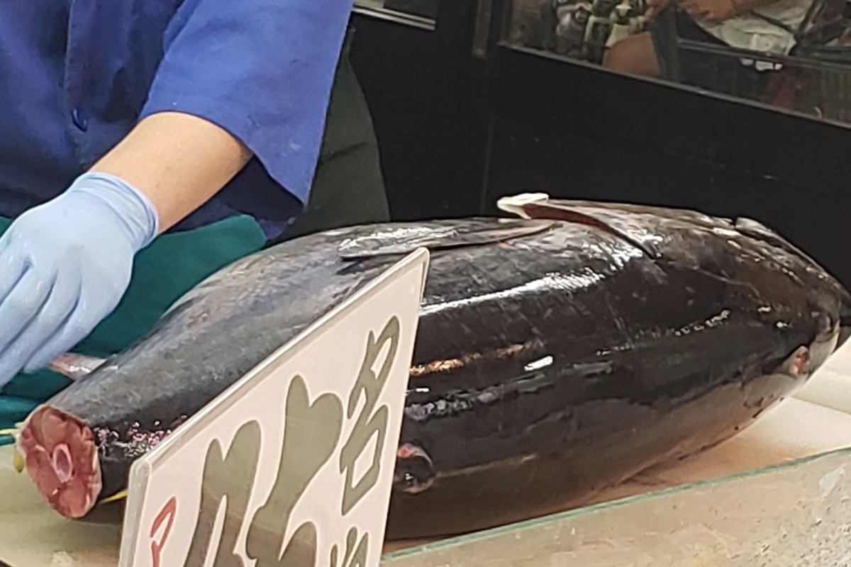 f:id:nutri13:20190901204708j:plain