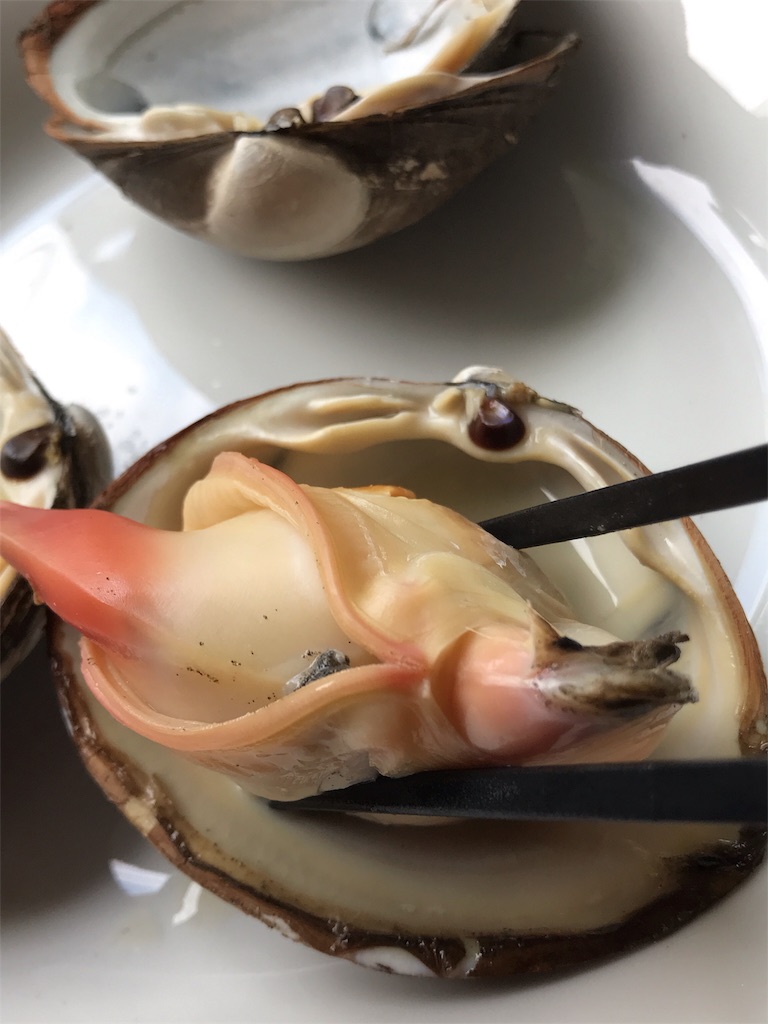 f:id:nutritionaler:20190608163801j:image