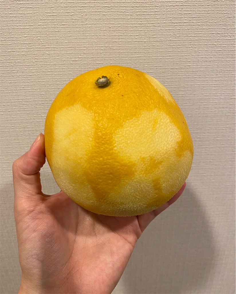 f:id:nutritionaler:20200329045922j:image