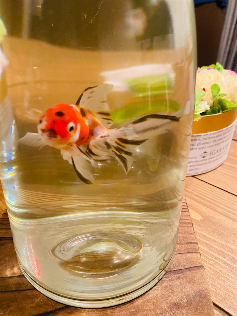 金魚ちゃんとエコシステム完成 Being Mindful