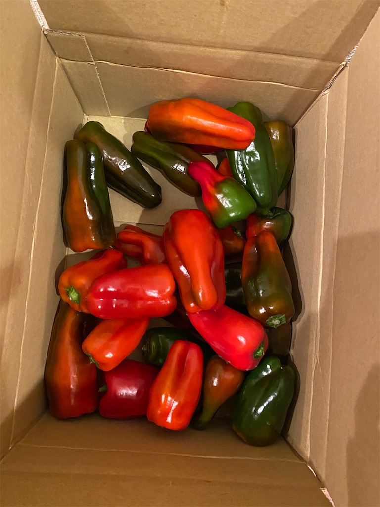 f:id:nutritionaler:20200628212616j:image