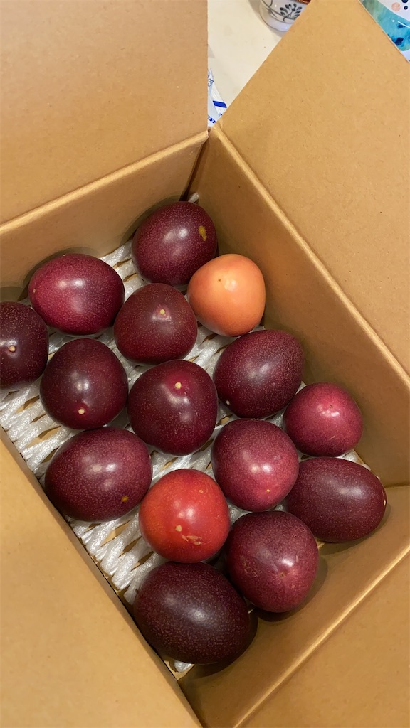 f:id:nutritionaler:20200713103627j:image f:id:nutritionaler:20200713103627j:image