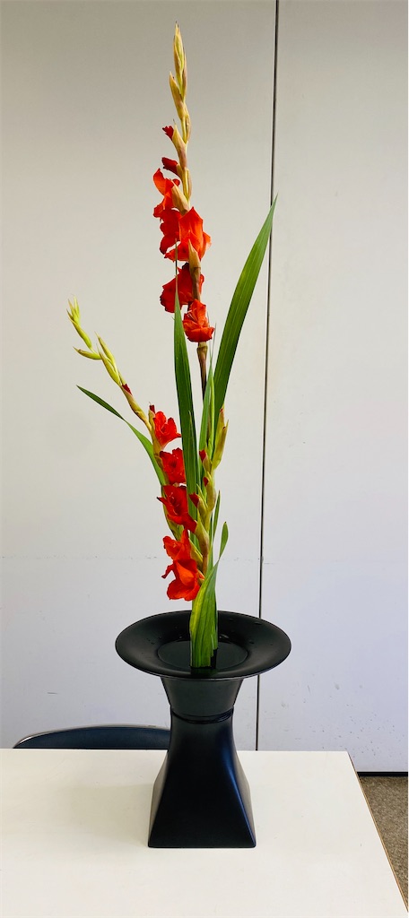 f:id:nutritionaler:20200726115330j:image