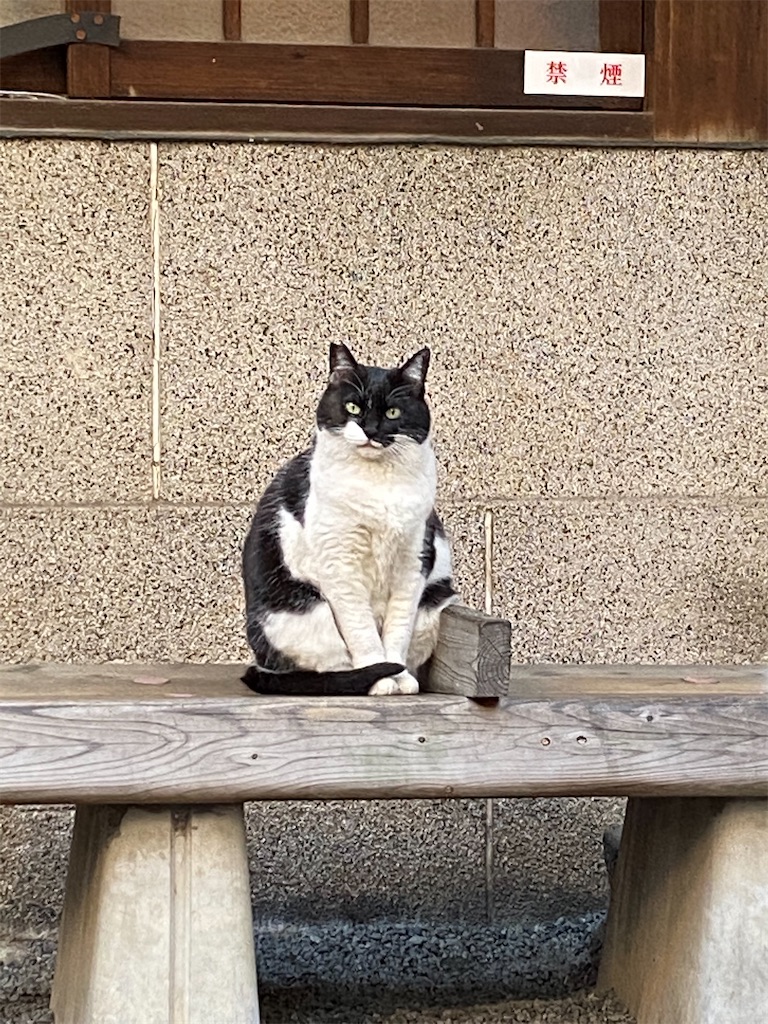 f:id:nutritionaler:20201121173920j:image f:id:nutritionaler:20201121173920j:image