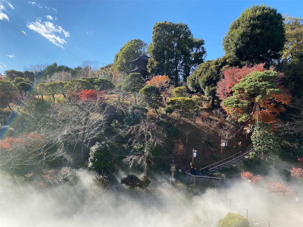 f:id:nutritionaler:20201218215929j:image f:id:nutritionaler:20201218215929j:image