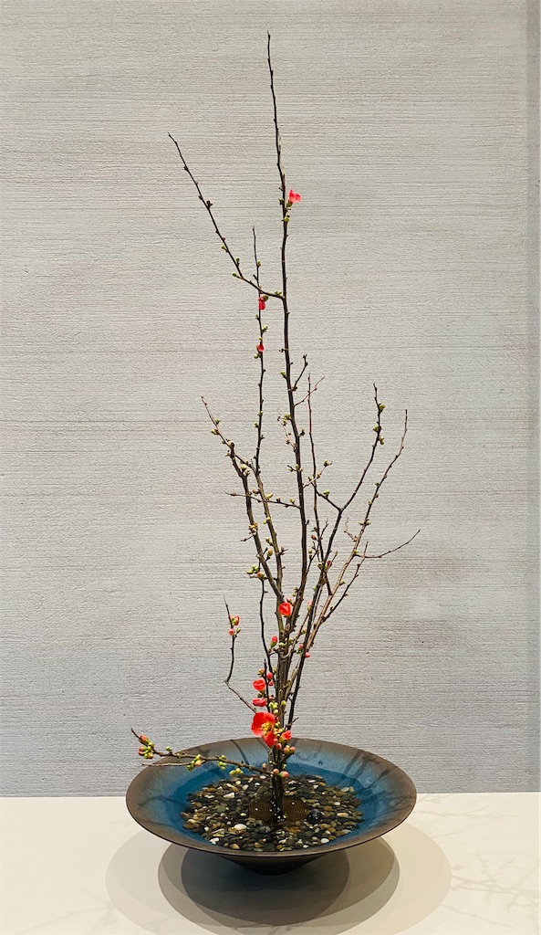 f:id:nutritionaler:20210124175836j:image f:id:nutritionaler:20210124175836j:image