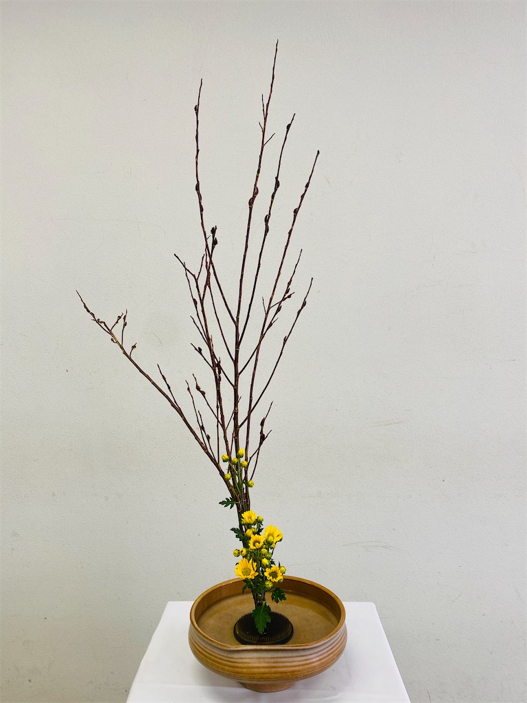 f:id:nutritionaler:20210213121935j:image f:id:nutritionaler:20210213121935j:image