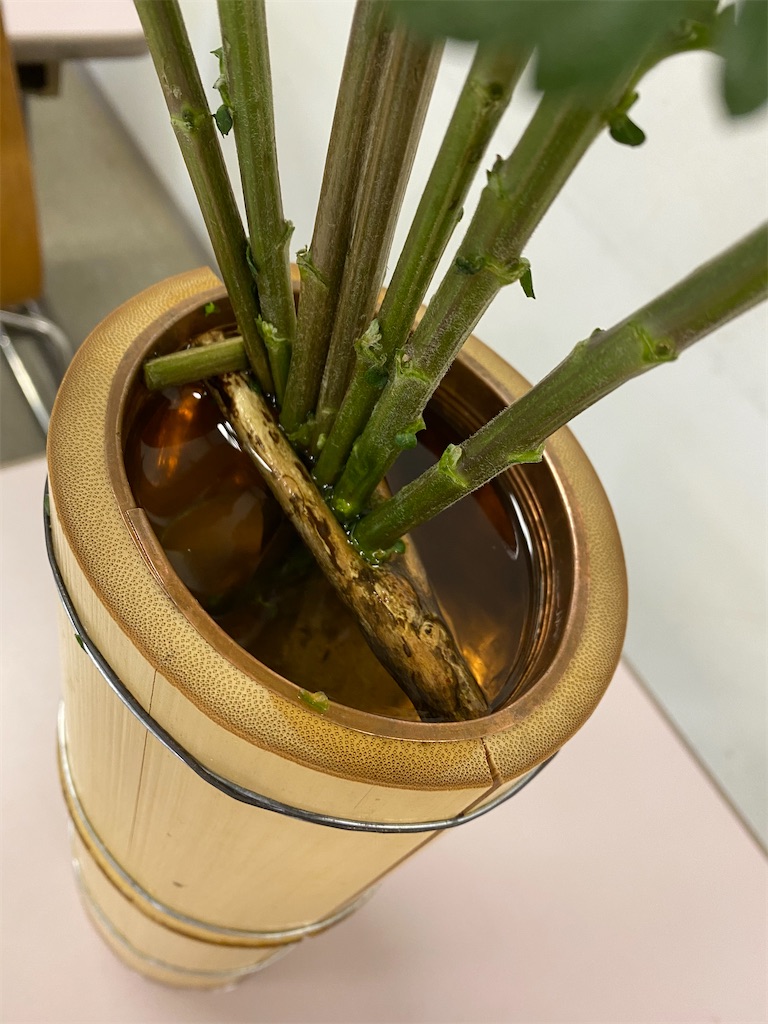 f:id:nutritionaler:20210220154754j:image