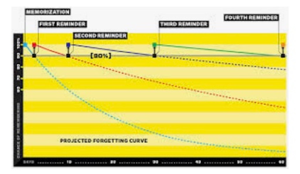 f:id:nutritionaler:20210404235858j:image f:id:nutritionaler:20210404235858j:image