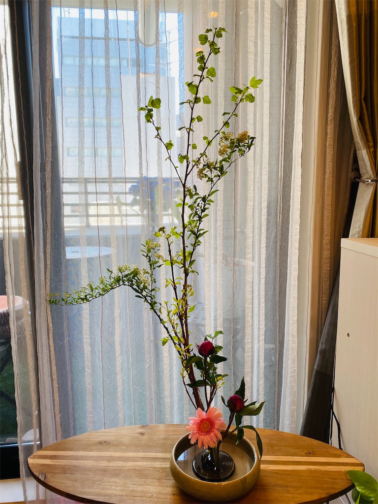 f:id:nutritionaler:20210411102743j:image f:id:nutritionaler:20210411102743j:image