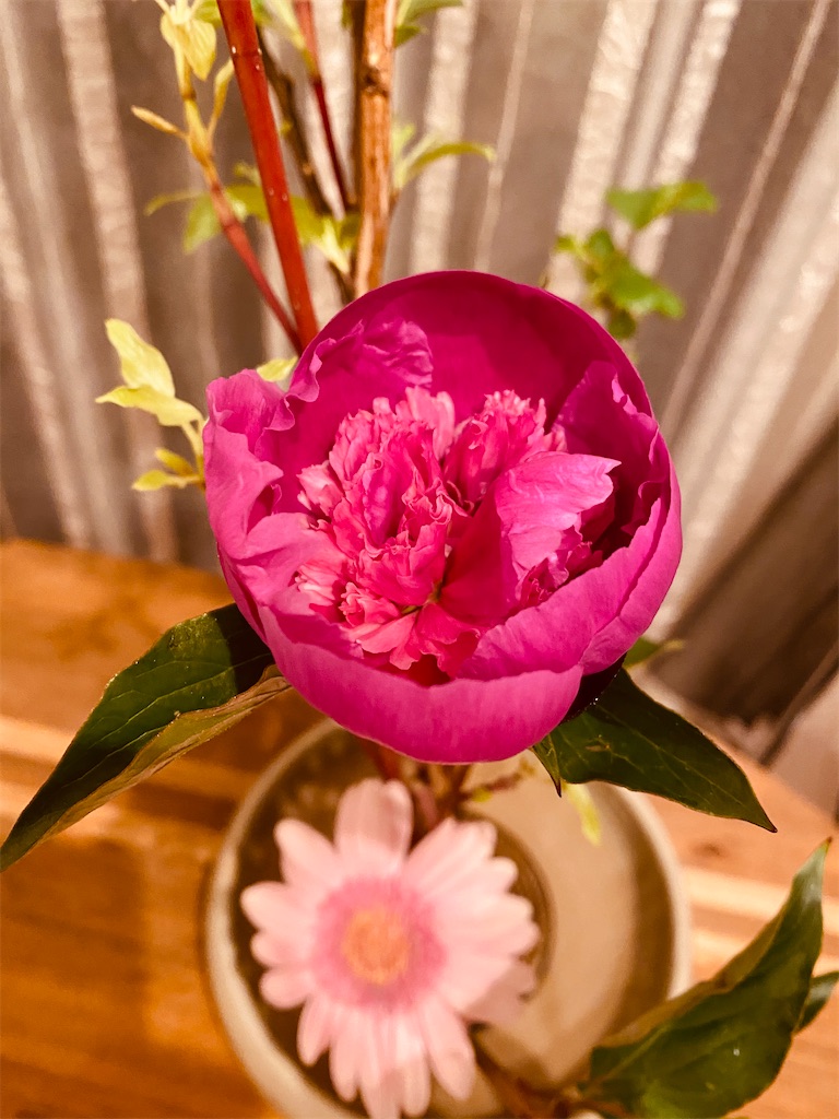 f:id:nutritionaler:20210411235933j:image f:id:nutritionaler:20210411235933j:image