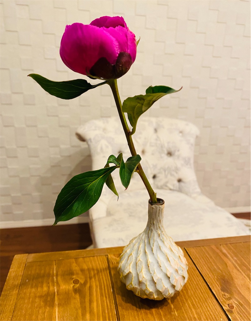 f:id:nutritionaler:20210412220128j:image f:id:nutritionaler:20210412220128j:image