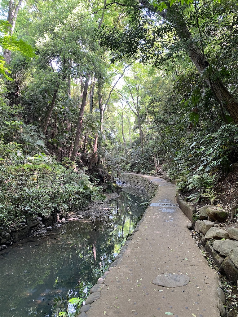 f:id:nutritionaler:20210501110318j:image f:id:nutritionaler:20210501110318j:image