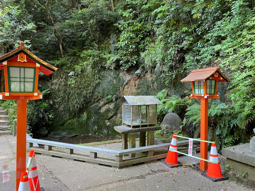 f:id:nutritionaler:20210501110422j:image f:id:nutritionaler:20210501110422j:image