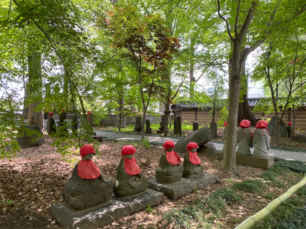 f:id:nutritionaler:20210501111338j:image f:id:nutritionaler:20210501111338j:image