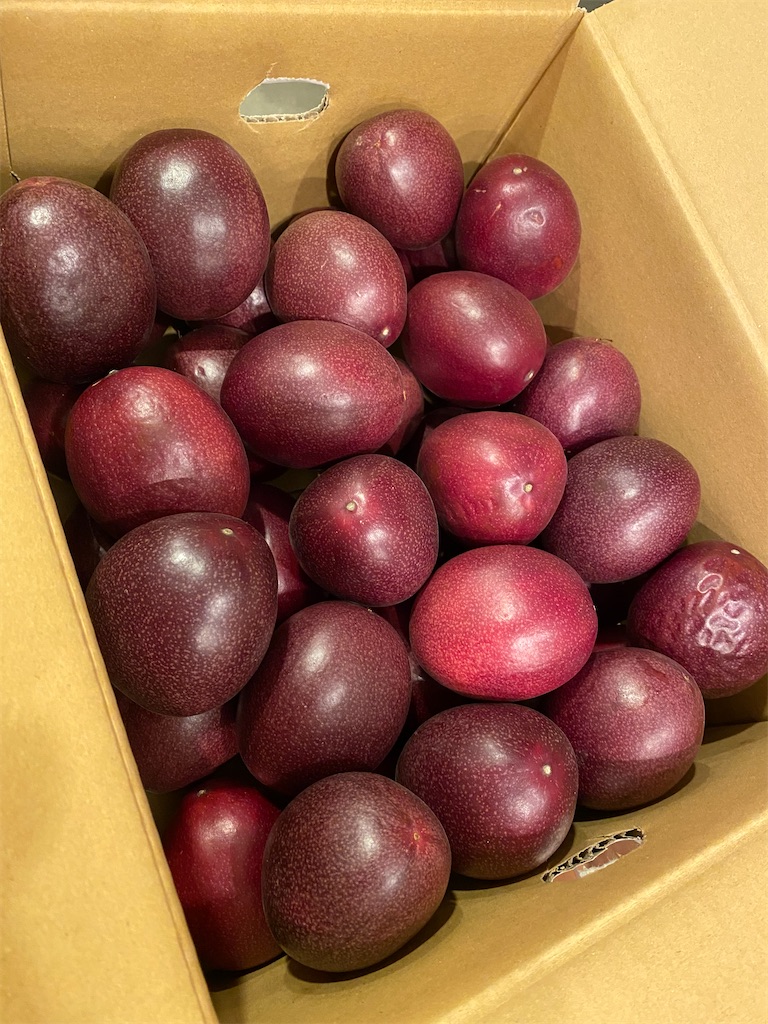 f:id:nutritionaler:20210713233201j:image f:id:nutritionaler:20210713233201j:image