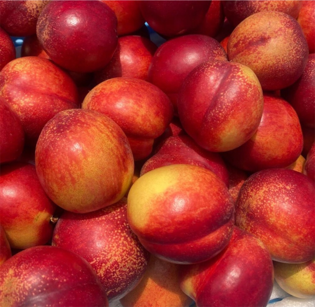 f:id:nutritionaler:20210713233213j:image f:id:nutritionaler:20210713233213j:image