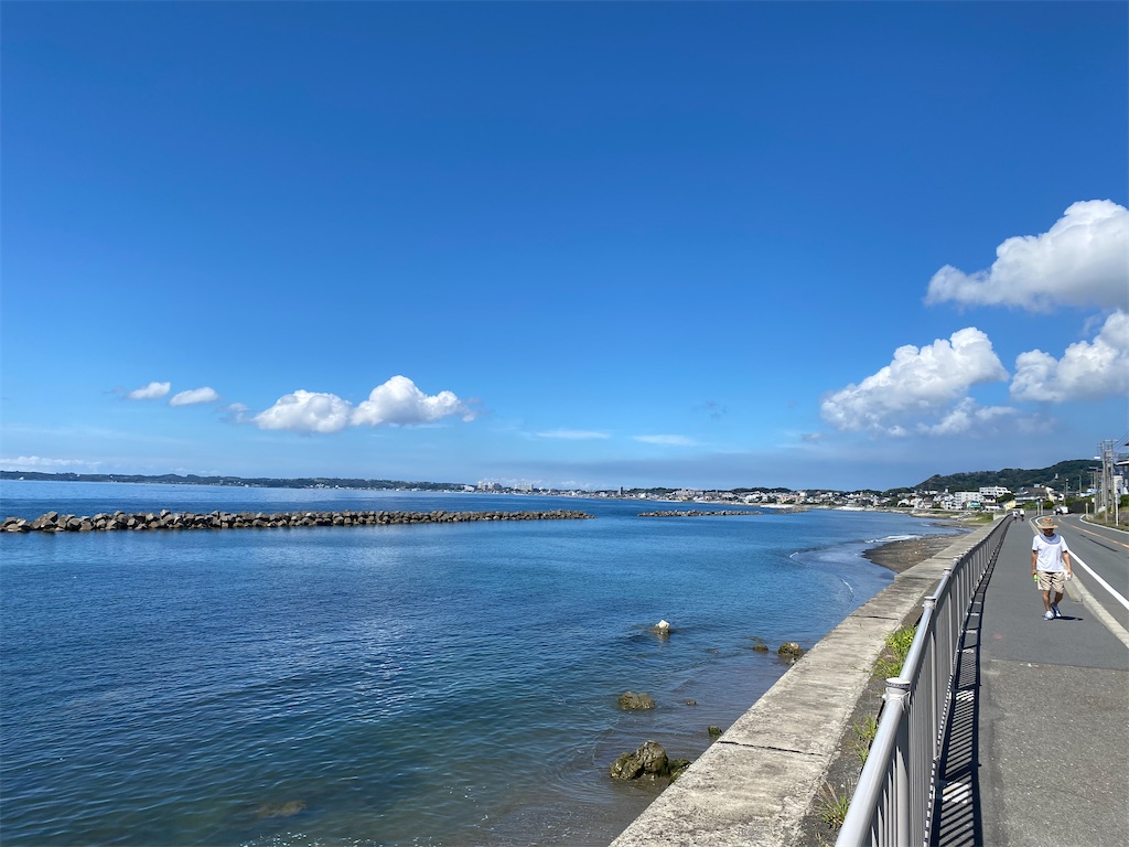 f:id:nutritionaler:20210717150550j:image f:id:nutritionaler:20210717150550j:image