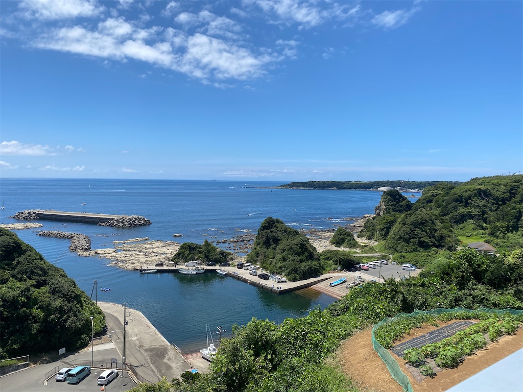 f:id:nutritionaler:20210718011755j:image f:id:nutritionaler:20210718011755j:image