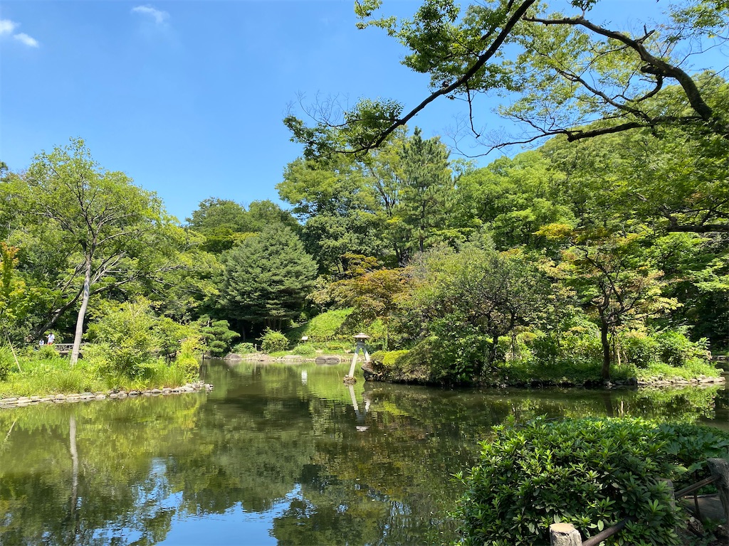 f:id:nutritionaler:20210801141326j:image