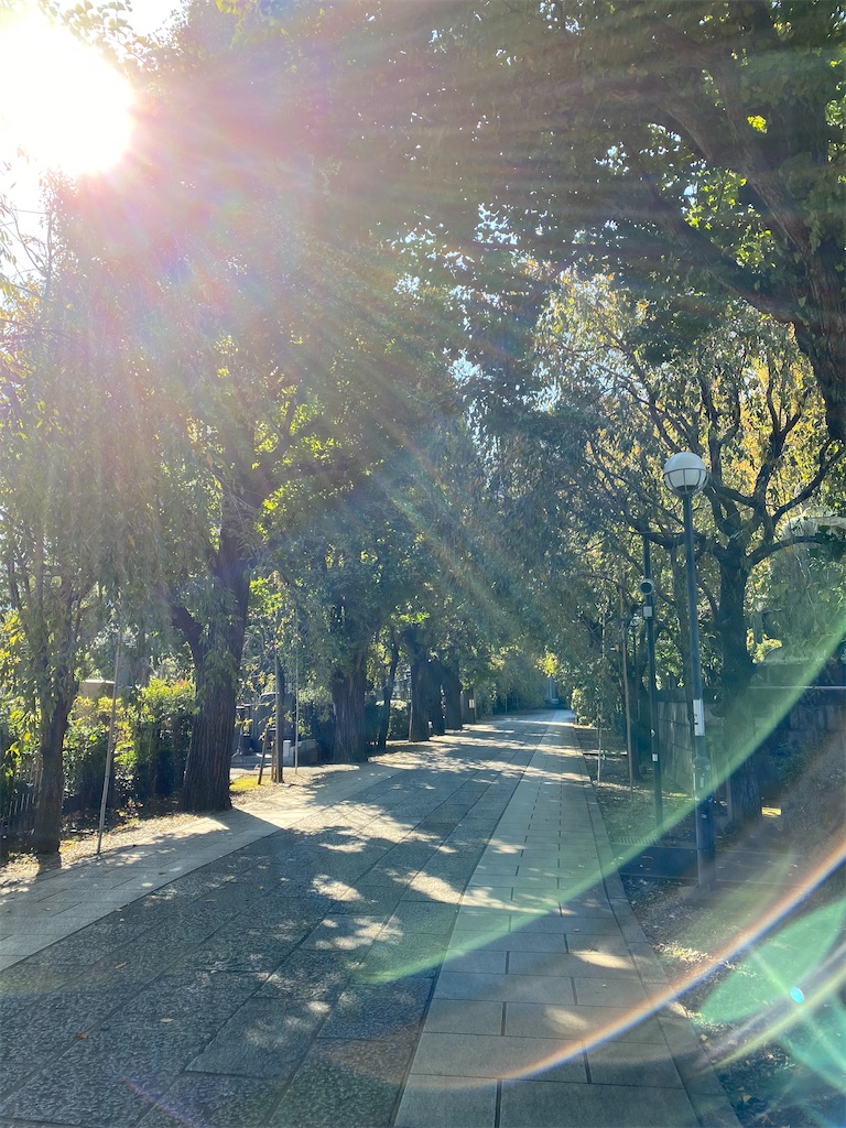 f:id:nutritionaler:20211030221910j:image