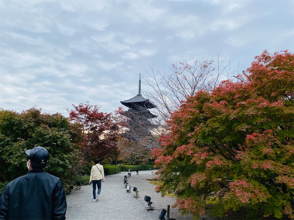 f:id:nutritionaler:20211114163623j:image f:id:nutritionaler:20211114163623j:image