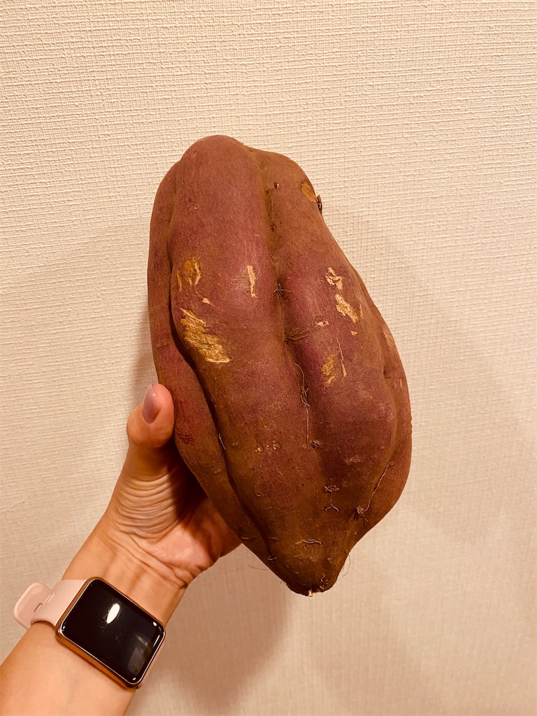 f:id:nutritionaler:20211114215425j:image f:id:nutritionaler:20211114215425j:image