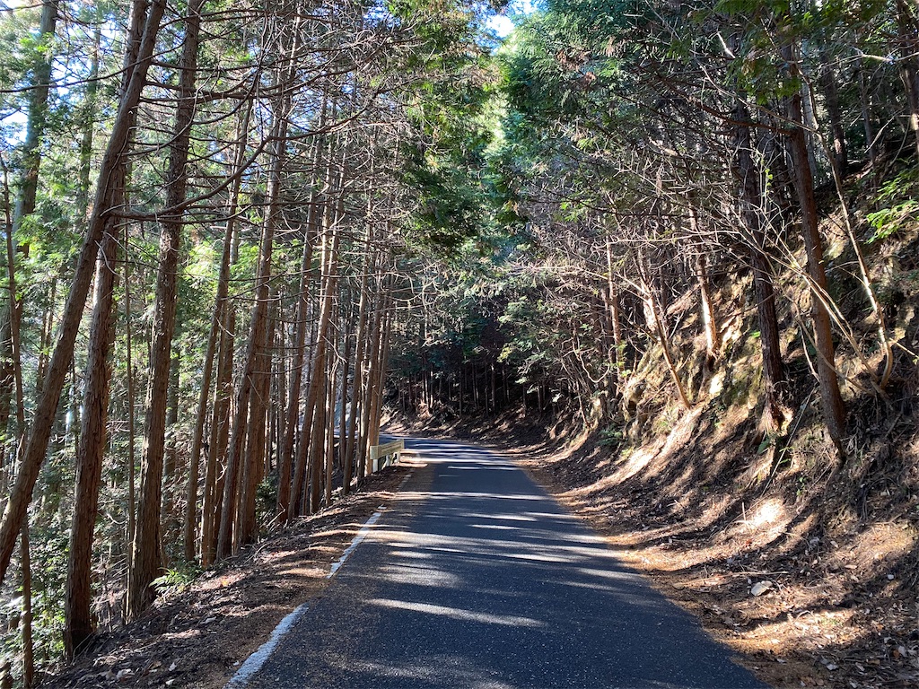 f:id:nutritionaler:20211212173338j:image