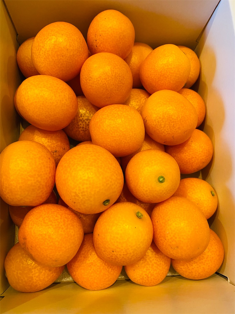 f:id:nutritionaler:20220124091935j:image f:id:nutritionaler:20220124091935j:image