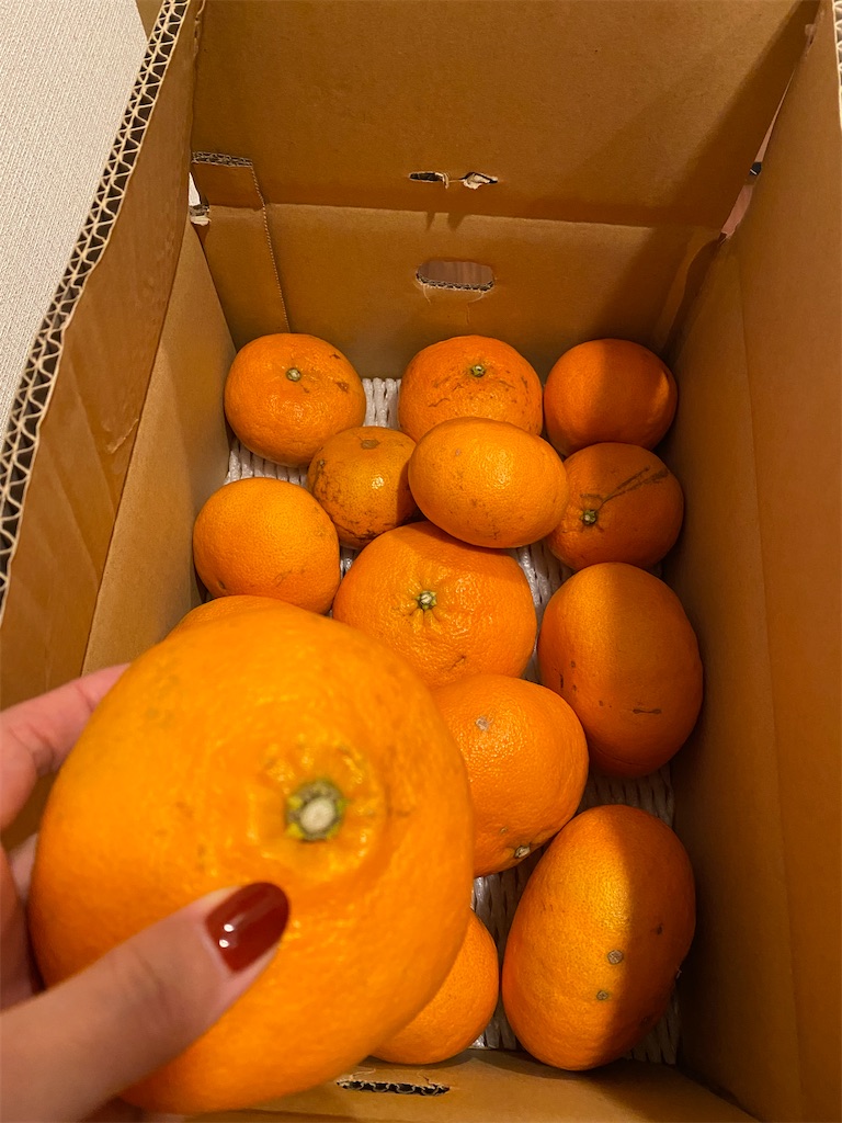 f:id:nutritionaler:20220213144455j:image f:id:nutritionaler:20220213144455j:image