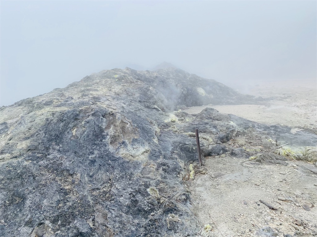 f:id:nutritionaler:20220424155330j:image f:id:nutritionaler:20220424155330j:image