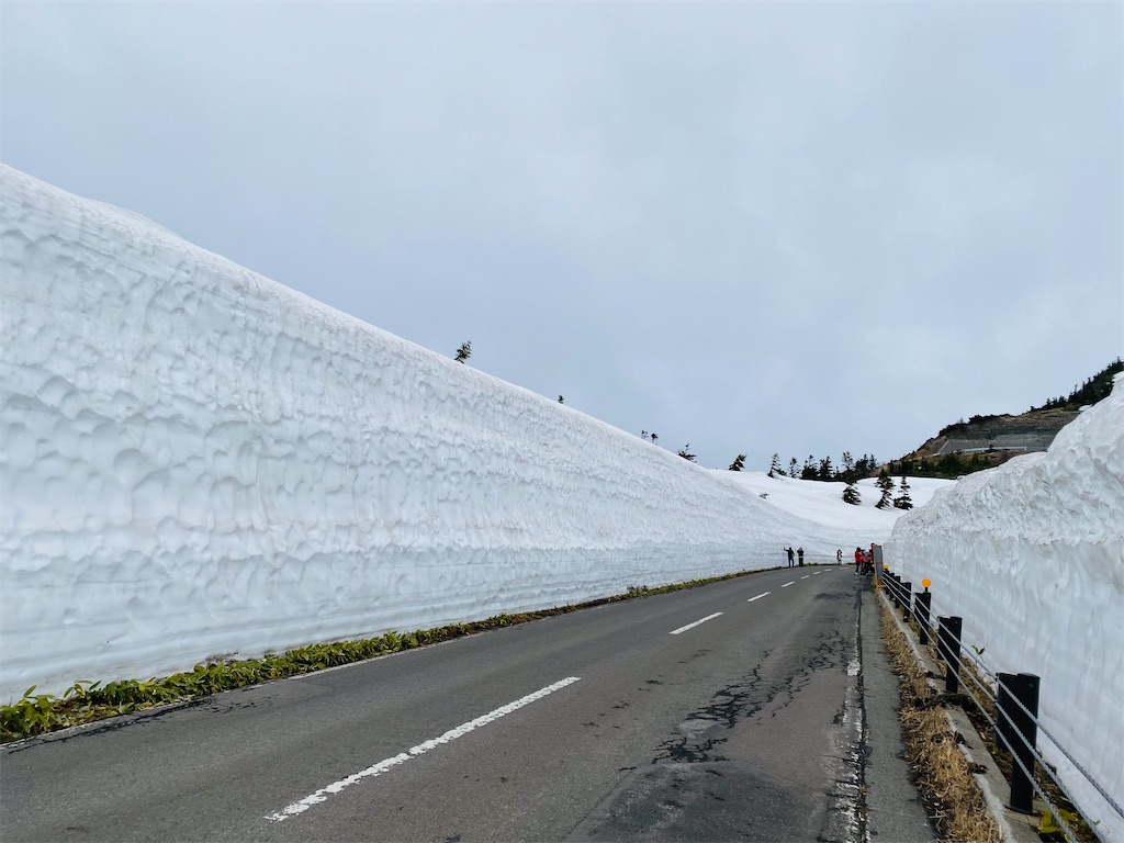 f:id:nutritionaler:20220424155728j:image f:id:nutritionaler:20220424155728j:image