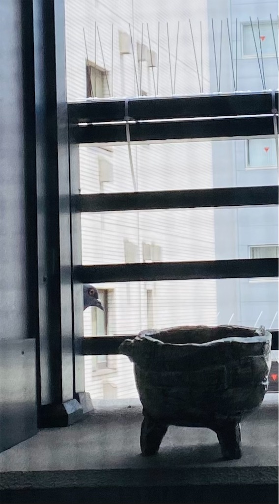 f:id:nutritionaler:20220601174320j:image