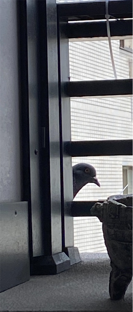 f:id:nutritionaler:20220602224854j:image