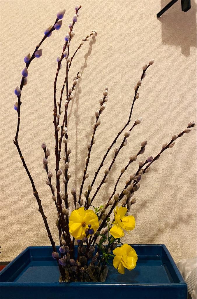 f:id:nutritionaler:20230221233316j:image f:id:nutritionaler:20230221233316j:image