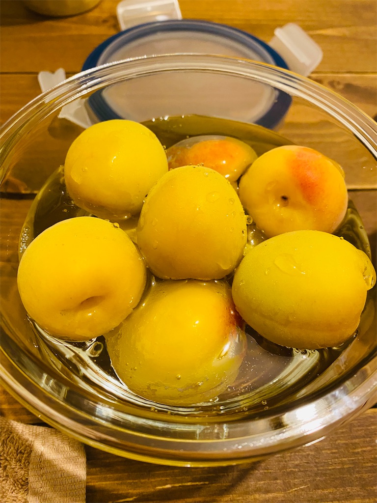 f:id:nutritionaler:20230609224559j:image