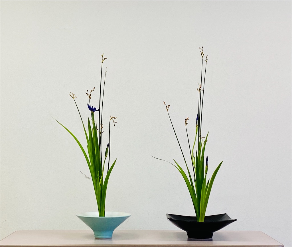 f:id:nutritionaler:20230610165758j:image