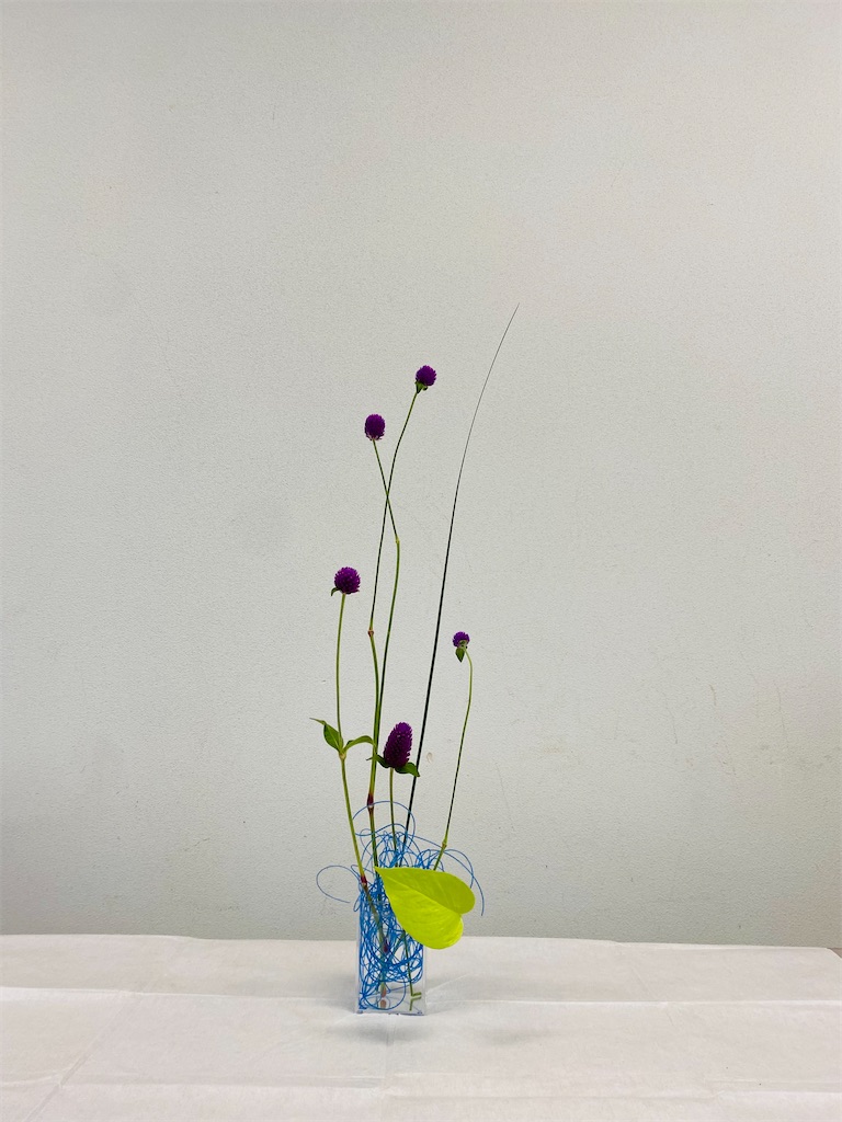 f:id:nutritionaler:20230819172902j:image f:id:nutritionaler:20230819172902j:image