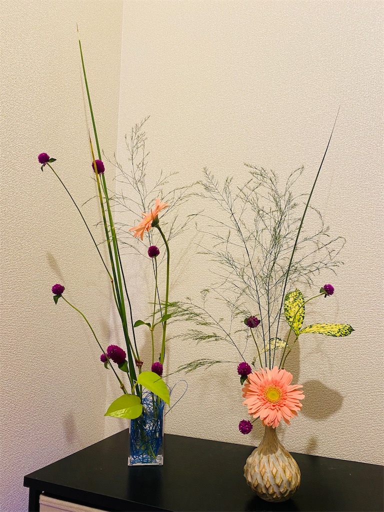 f:id:nutritionaler:20230819212447j:image f:id:nutritionaler:20230819212447j:image