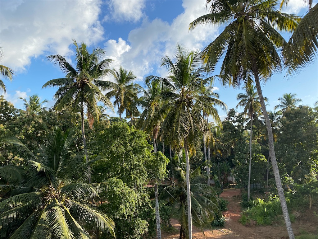 f:id:nutritionaler:20230825121325j:image f:id:nutritionaler:20230825121325j:image