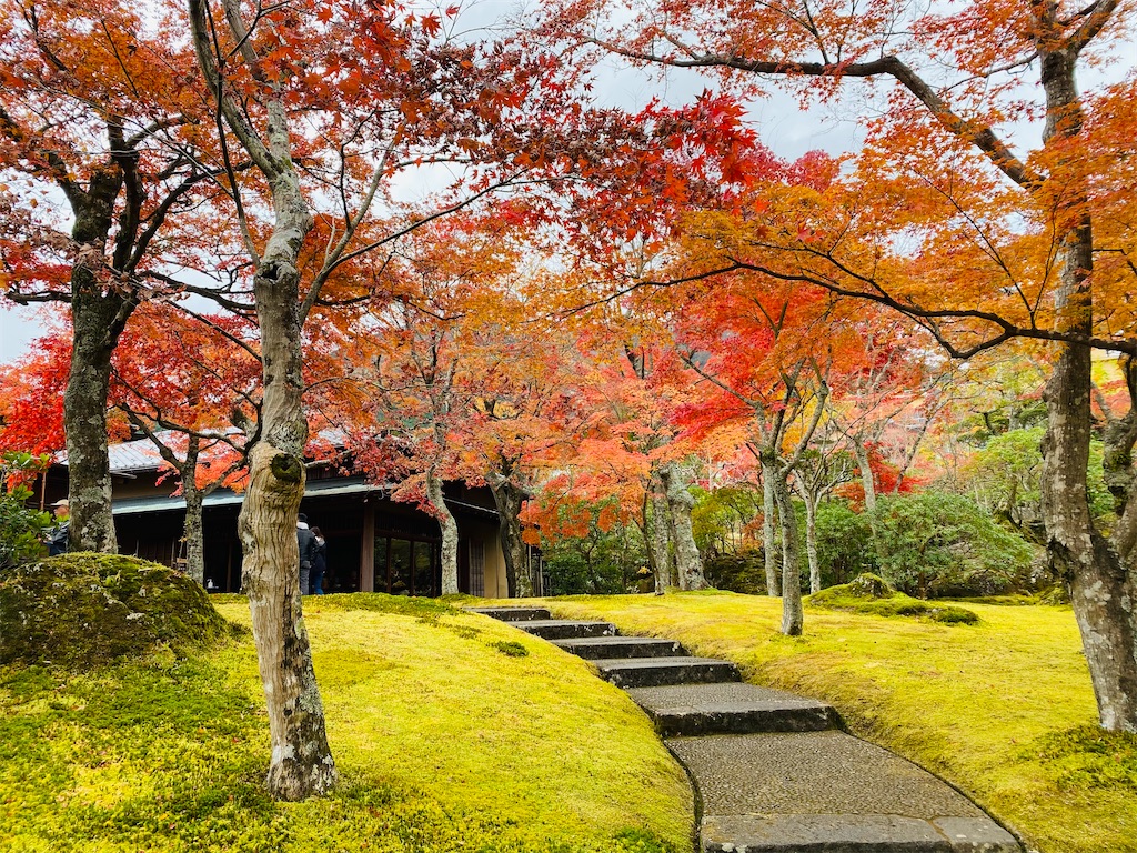 f:id:nutritionaler:20231125135420j:image f:id:nutritionaler:20231125135420j:image