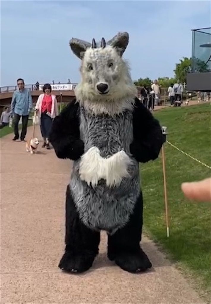 f:id:nutritionaler:20240430054105j:image f:id:nutritionaler:20240430054105j:image