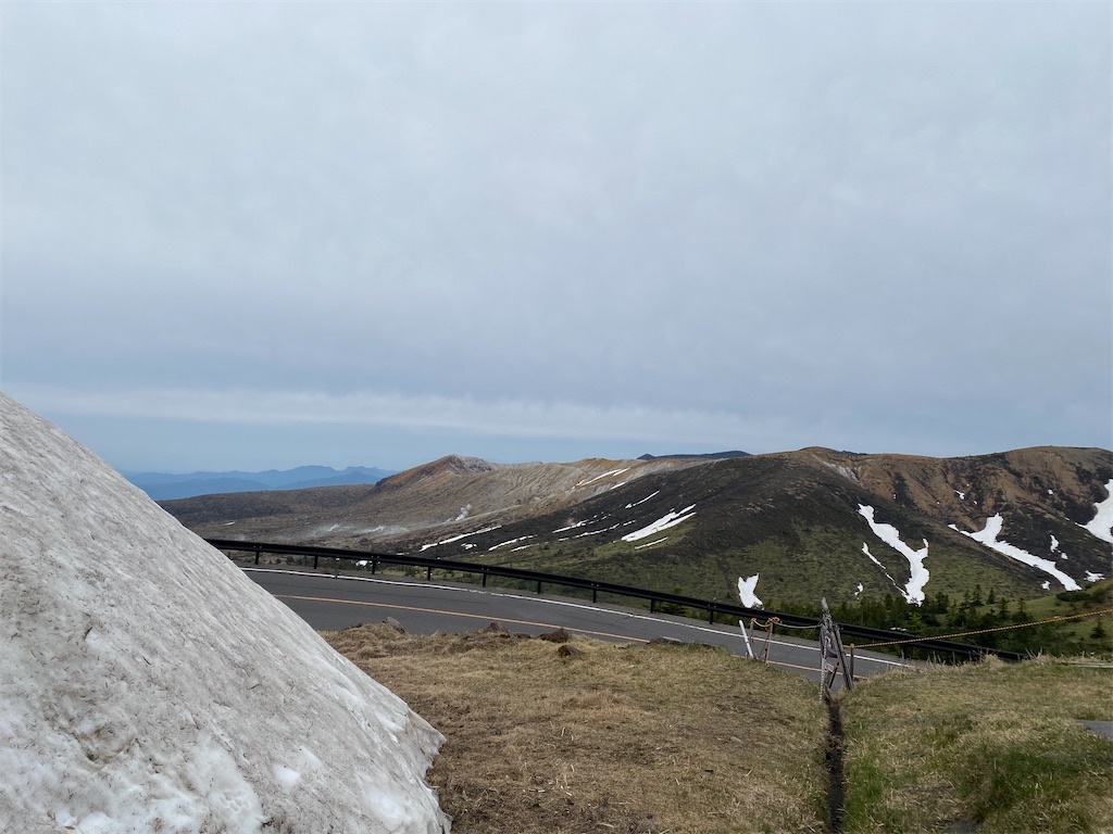 f:id:nutritionaler:20240519141742j:image f:id:nutritionaler:20240519141742j:image